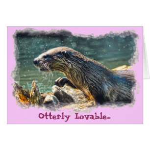 Foto de vida silvestre de River Otter
