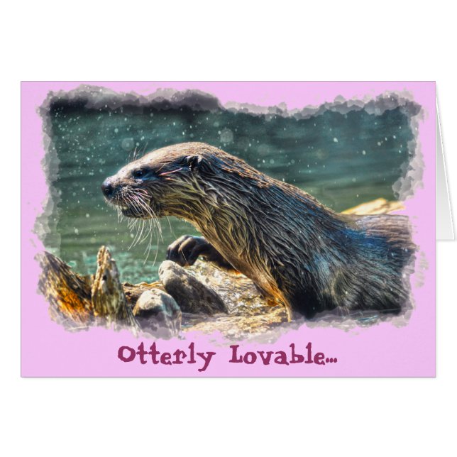 Foto de vida silvestre de River Otter (Anverso (Horizontal))