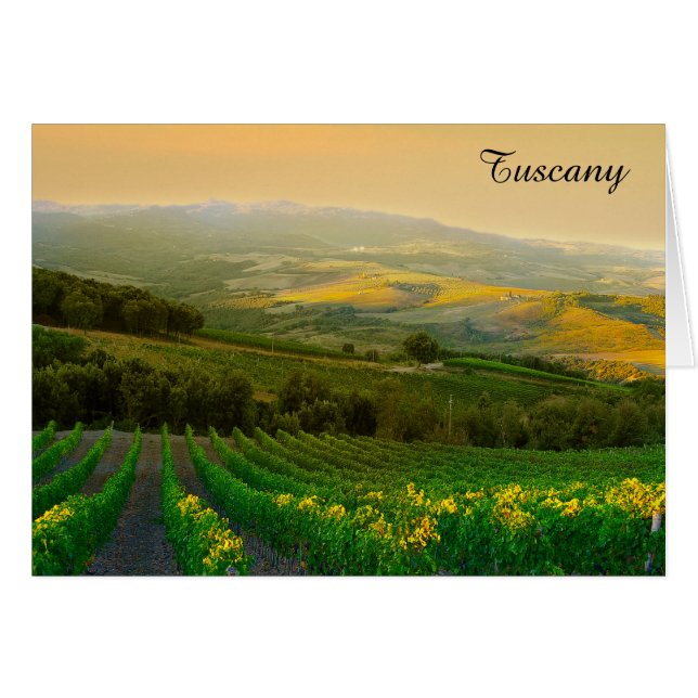 Foto de viñedos italianos de Toscana Italia (Anverso (Horizontal))