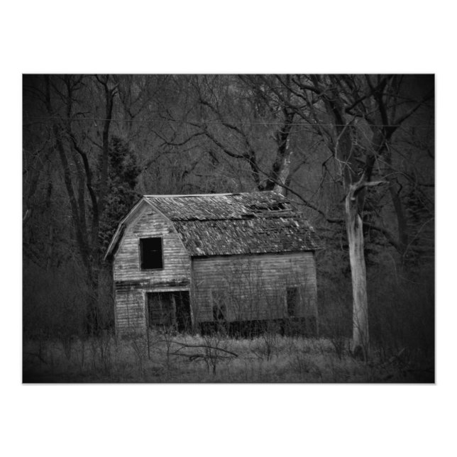 Foto "Decomposición" (Frente)