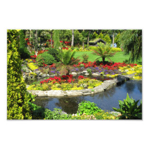 Foto decorativa del parque hermoso