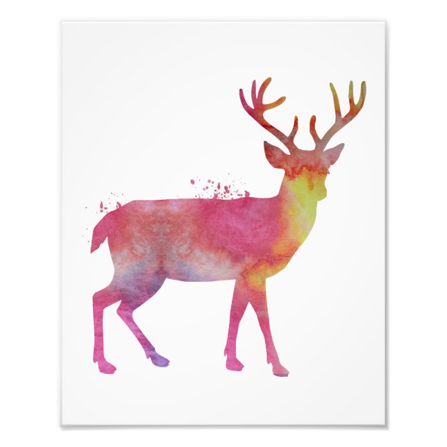 Foto Deer (Frente)
