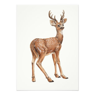 Foto Deer