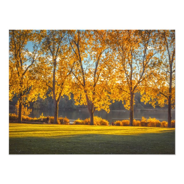 Foto DeerLake en otoño (Frente)