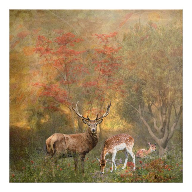 Foto Deers en otoño poster de tapicería forestal tripty (Frente)