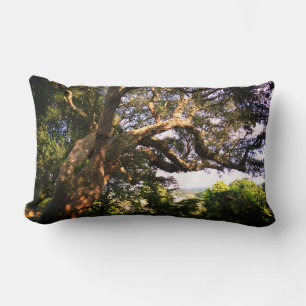 Foto del árbol antiguo de la almohada lumbar