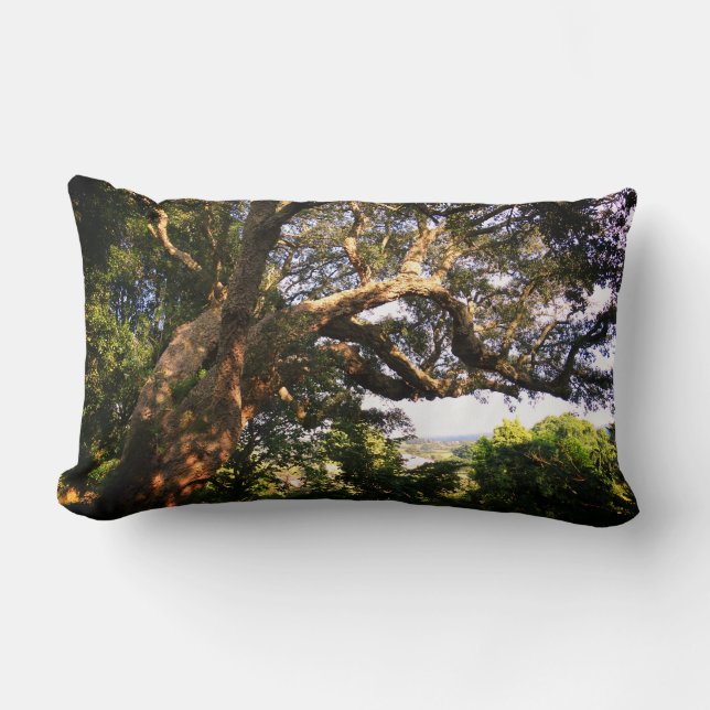 Foto del árbol antiguo de la almohada lumbar (Anverso)