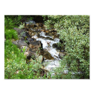 Foto del arroyo de la charla