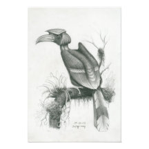 Foto del ave camboyana Hornbill por Vannak Prum