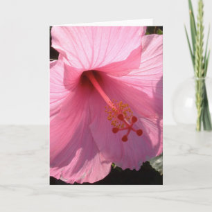 Foto del Bella Artes hawaiano rosado Hibiscus
