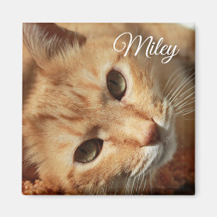 Foto del gato e imán personalizados del nombre