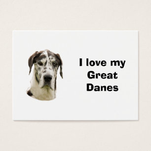 Foto del mascota de Halequin great dane
