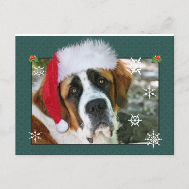 Foto del perro de St Bernard del navidad (Anverso)
