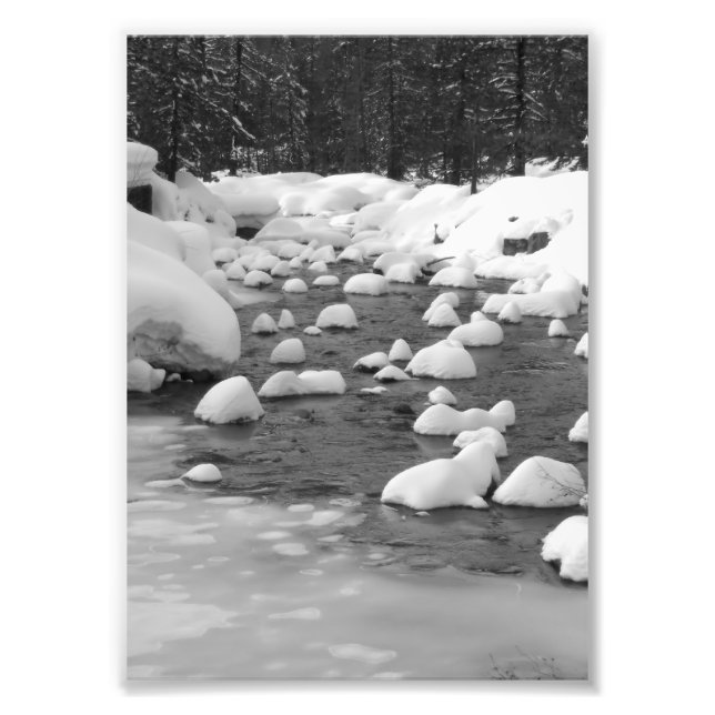 Foto del río Yuba (Frente)