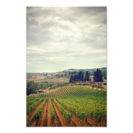 Foto del viñedo de la Toscana con un cielo sombrío