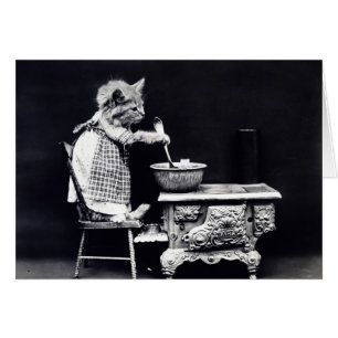 Foto del vintage - gato que cocina una comida,