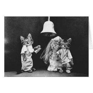 Foto del vintage - una boda del gato del gatito,