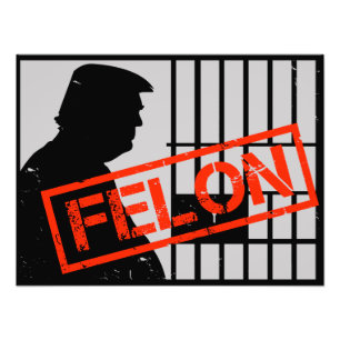 Foto Delincuente Anti Trump Condenado 20-24 Años a Pris
