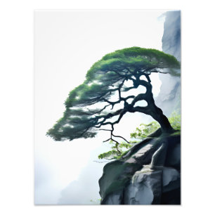 Foto Desafiando las probabilidades: el árbol Bonsai en
