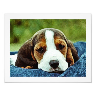Foto Descanso de cachorro basset - Blanco y negro marró