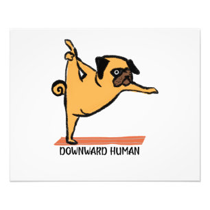 Foto Descendente Humano-Yoga-Perro-Funny