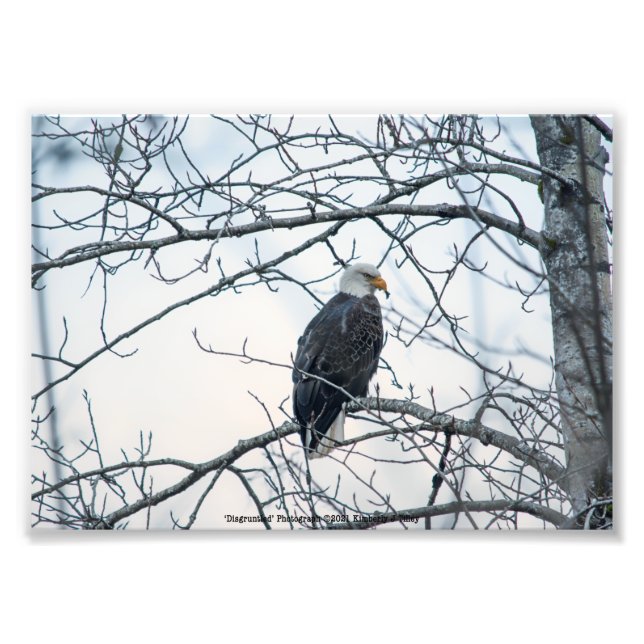 Foto Descontento (Frente)