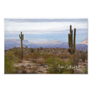 Foto Desert Saguaro