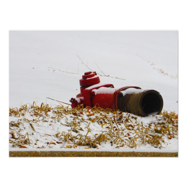 Foto "Deshidratado" (Frente)