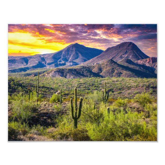 Foto Desierto 2124-2-Arizona al atardecer con cactus (Frente)