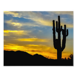 Foto Desierto de Arizona 1996-2 al atardecer con Saguar