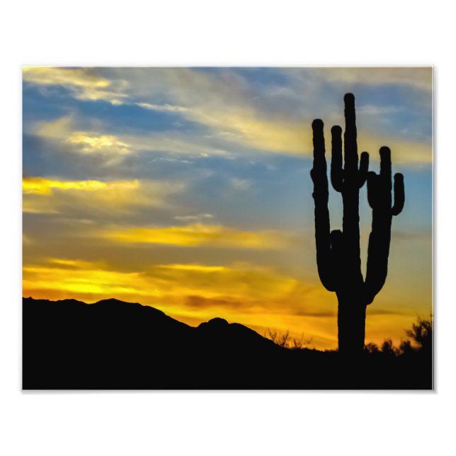 Foto Desierto de Arizona 1996-2 al atardecer con Saguar (Frente)