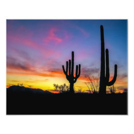 Foto Desierto de Arizona 2034-2 al atardecer con cactus