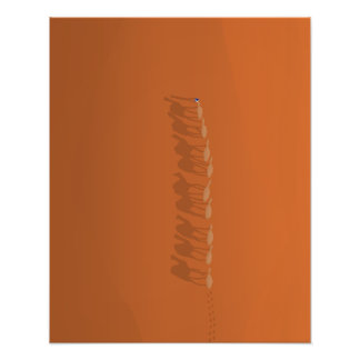 Foto Desierto del Sahara Marruecos | Ilustracion aéreo