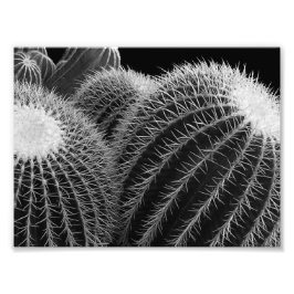 Foto Desierto oscuro.