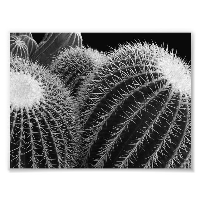 Foto Desierto oscuro. (Frente)