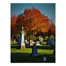 Foto "Deslumbramiento energético"