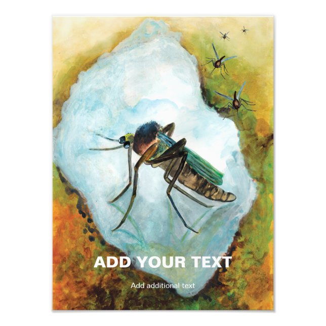 Foto Deslumbrante verano de mosquitos molestos - Person (Frente)