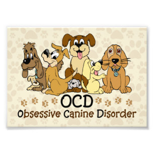 Foto Desorden canino obsesivo de OCD