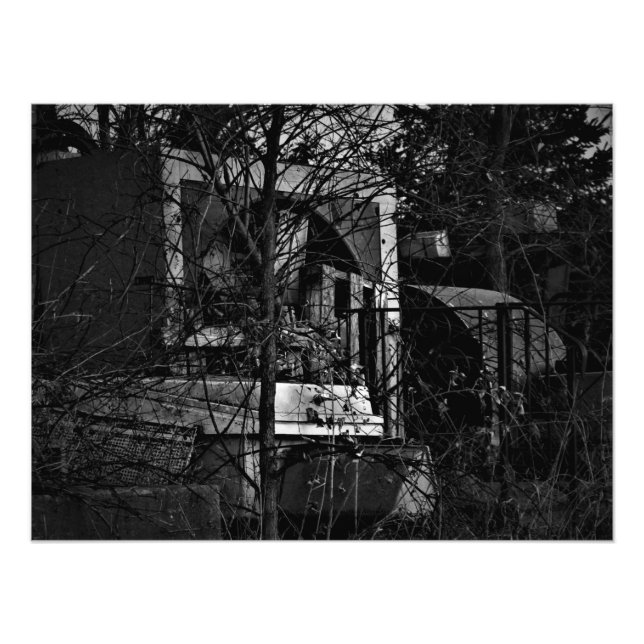 Foto "Desorden en la carretera" (Frente)