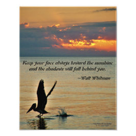 Foto Despegar pelícano en la puesta de sol de la Costa 