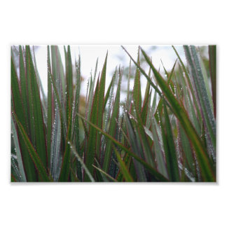 Foto Después de la lluvia
