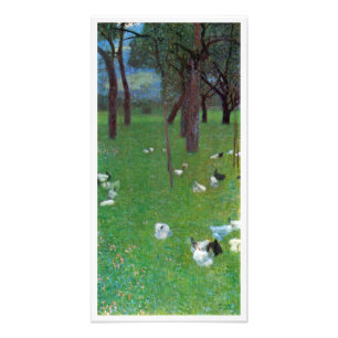 Foto Después de la lluvia, gallinas de jardín por Gusta