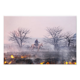 Foto Después del incendio de Prairie, Flint Hills, Kans