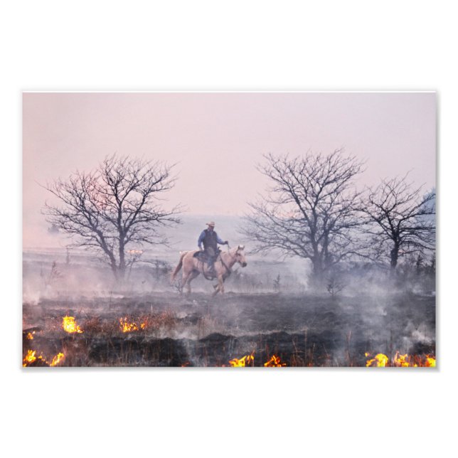 Foto Después del incendio de Prairie, Flint Hills, Kans (Frente)