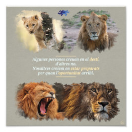 Foto Destí o oportunitat?