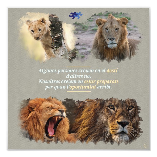 Foto Destí o oportunitat? (Frente)