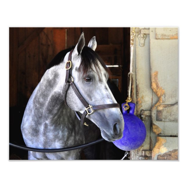 Foto Destin (Frente)