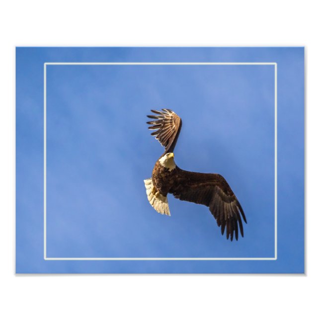 Foto Determinación (Frente)