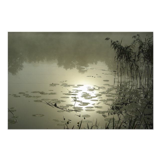 Foto Día de niebla sobre el lago (Frente)
