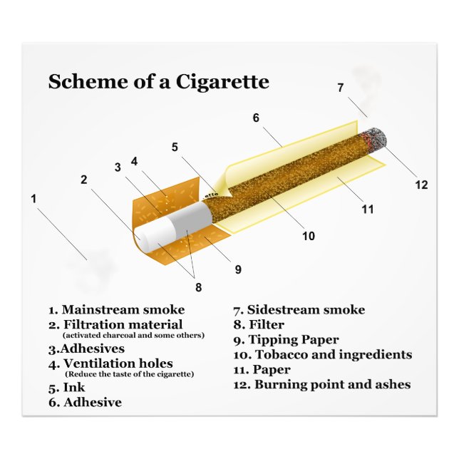 Foto Diagrama de un cigarrillo de tabaco (Frente)
